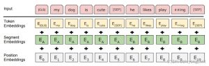 BERT model parsing