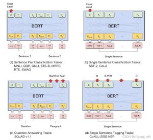 BERT model parsing